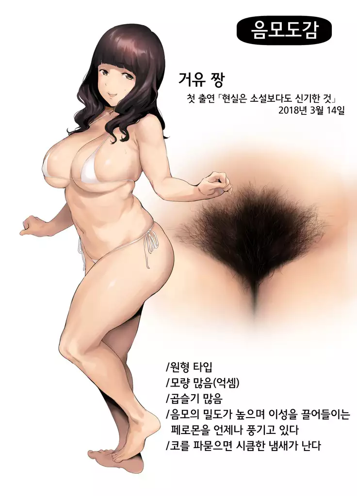 Inmou Zukan 1~4 | 음모도감 1~4