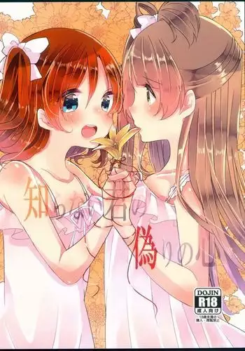 Shiranai Kimi no Itsuwari no Kokoro