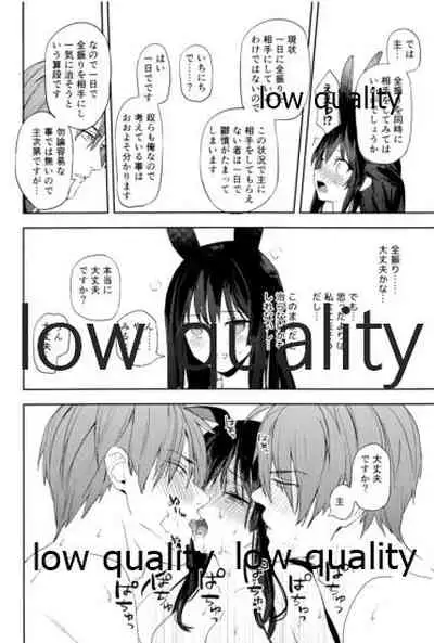 食欲旺盛な忠犬達と