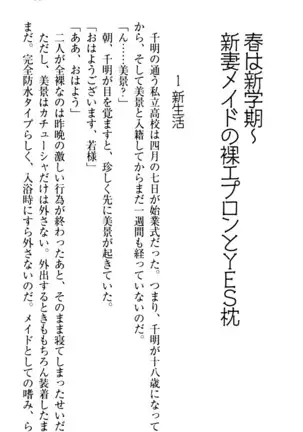 年上メイドの新婚日記