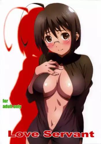 (C84) [Studio N.BALL (Haritama Hiroki)] Love Servant (Servant x Service)