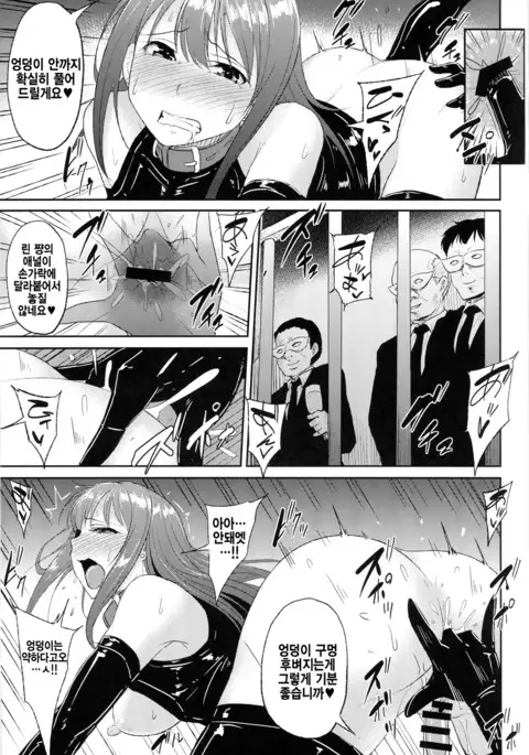 Perfect Lesson 5 -Idol Haisetsu Stage- 시뮬라시옹