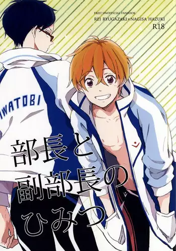 (C87) [skyfish (Hisato)] Buchou to fukubuchou no himitsu (Free!)