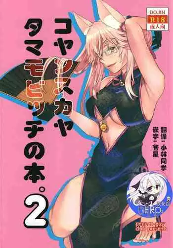Koyanskaya Tamamo Bitch no Hon. 2