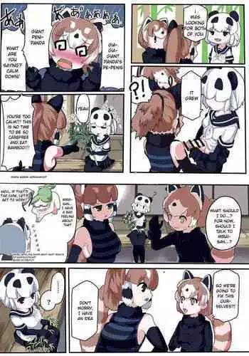 Panda Harem