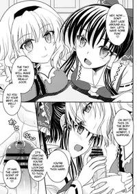 (Kouroumu 9) [IIWAKE-GAISYA (Shigemiya Kyouhei)] Reimu to Alice to | With Reimu and Alice... (Touhou Project) [English] [rqwrqw]