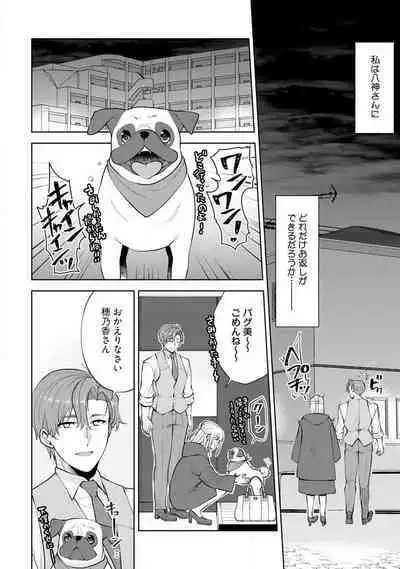 [Aono Akira] Ippai Kudasai, Yagami-san 〜 Karada no Aishō Batsugun! Akogare Jōshi ni Maiban Aisa Retemasu 〜 1-4