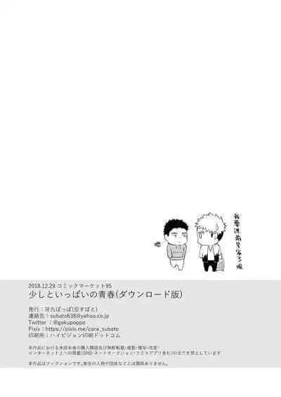 Sukoshi to Ippai no Seishun | 多多少少的青春