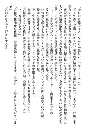 年上メイドの新婚日記