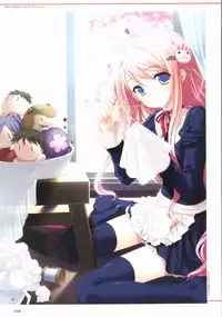 Sakura Sakura Visual Fan Book