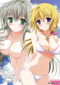 (C82) [SONIC WINTER (Tsukishima Kai)] Futari no Natsu Monogatari. | Our Summer Memory (Infinite Stratos) [English] {Rapid Switch}