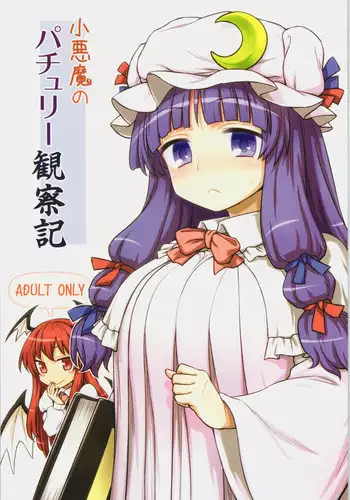 (C88) [110-GROOVE (Itou Yuuji)] Koakuma no Patchouli Kansatsuki (Touhou Project)