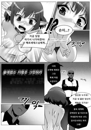 군단장 루시드 조교기록