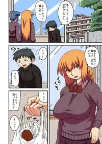 [茶屋街] 堕ち姉