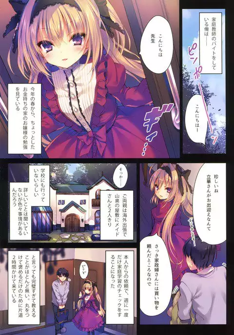 私の玩具になりなさい