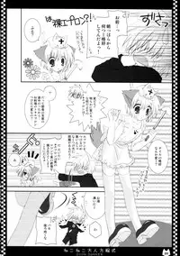 (C70) [Neko Kinryouku (NekoNeko)] NekoNeko Otona Houteishiki