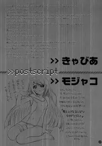 (C86) [Bloody Okojo (Akutagawa Manbou)] I Do My Best For You (Infinite Stratos) [Chinese] [无毒汉化组]