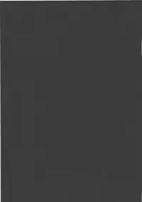 (C73) [FASTEST LAP (MIO)] Lost Property 2 (Mahou Shoujo Lyrical Nanoha)