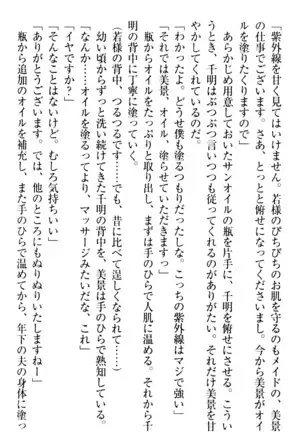 年上メイドの新婚日記