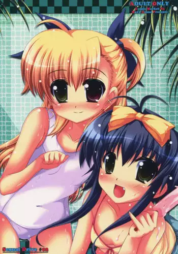 (C84) [Maya-tei (Asano Maya)] Sexual Drive #02 (Magical Girl Lyrical Nanoha)