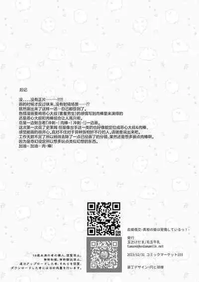 Kekki Yakou 2 Hentai Slime Nanka ni Makeru Wake Nai ! | 血姬夜交 2 才不会输给变态史莱姆什么的 !