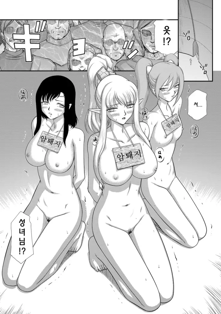 Inraku no Seijo Elvine | 음락의 성녀 에루뷔네