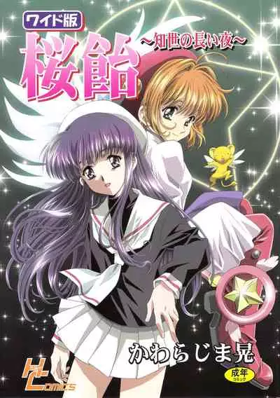 (C68) [Henreikai (Kawarajima Koh)] Sakura Ame Wide ban ~Tomoyo no Nagaiyoru~ 第一夜 (Card Captor Sakura) [霸宋漢化]