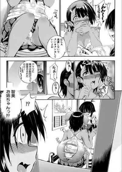 Onee-chan ga Boku? ni Netorarechau!