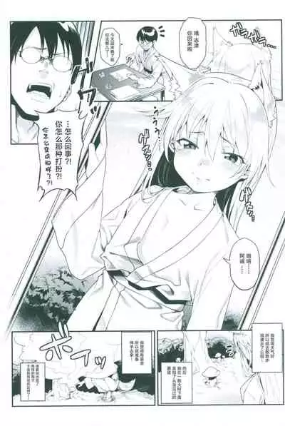 Irui Konintan Goudoushi