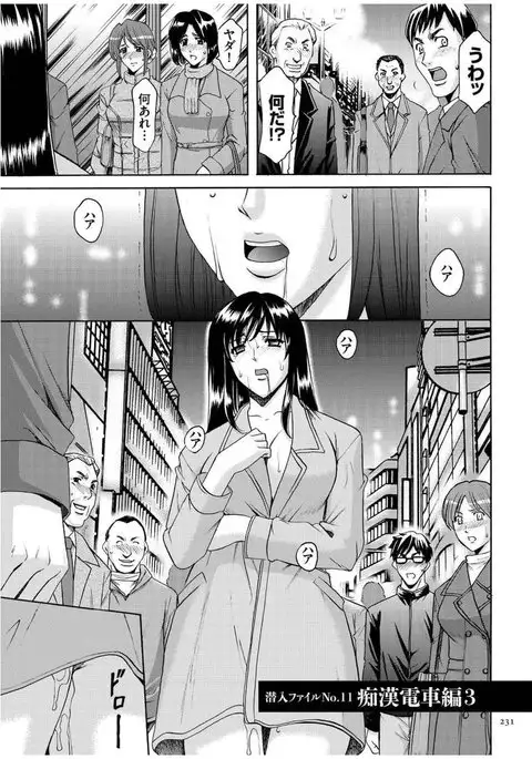 Sennyu Tsuma Satomi Kiroku