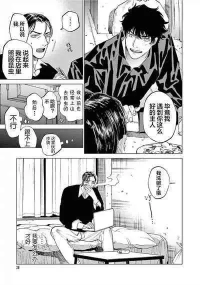 TOKYO Hikari Auction｜东京光之拍卖会