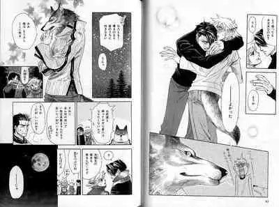 B-BOY Zips 35 スウィートホーム特集