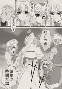 (Lyrical Stage) [Unti Animamundi (Yozakura Kyouka, Mutsuki Karasu)] Zettai Gangushi Haisha (Mahou Shoujo Lyrical Nanoha)