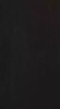 姊姊: 莲 第1話 [Chinese]中文