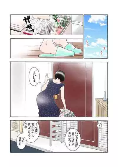 D・Hダンナ二ヒミツ 横山正子の場合