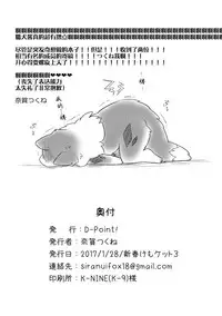 [D-Point! (Diga Tsukune)] Kitsune Inu to Asobo! [Chinese] [桑德个人汉化] [Digital]