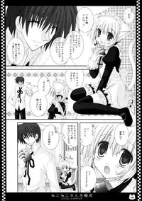 (C70) [Neko Kinryouku (NekoNeko)] NekoNeko Otona Houteishiki