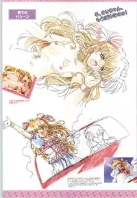 (一般画集) [F&C] バーチャコール シリーズ設定原画集