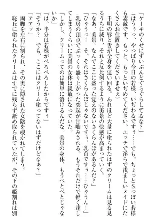 年上メイドの新婚日記