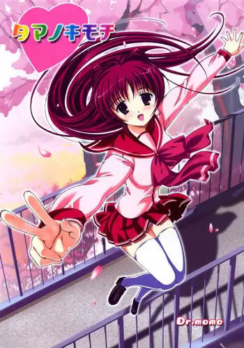 (SC27) [Gourmet Poppo (Dr.Momo)] Tama no Kimochi (ToHeart 2)