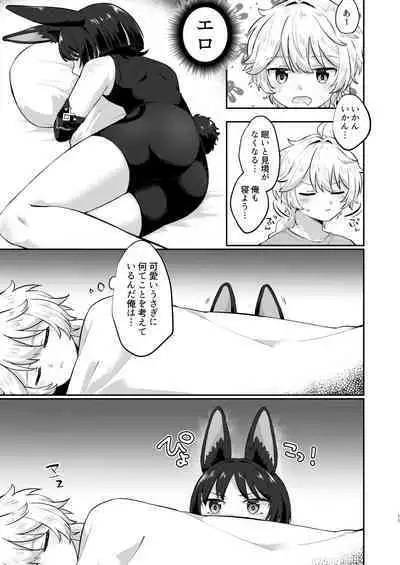 最強!ふわふわの放浪者