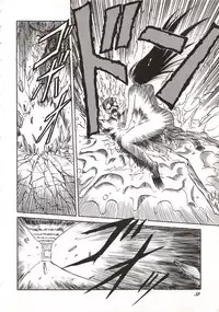 (C38) [Waku Waku Doubutsuen (Various)] Elf no Musume Kaiteiban - Die Elfische Tochter revised edition (Record of Lodoss War)