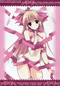 (C71) [Joker Type & Heart-Work (Nishimata Aoi, Suzuhira Hiro)] Beauty Bunny.Cutie Cat