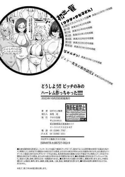 Dou Shiyou!! Bitch Nomi no Harem Tsukutchatta!!!! | 怎么办！我建起只有碧池的后宫了！