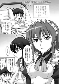 (SC38) [Brain Dead (Eiji)] N.T. no Shana wa Inran na no ka? (Shakugan no Shana)
