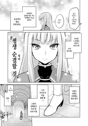 Shojo Kishi Seraphina | 처녀기사 세라피나