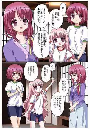 Bishoujo Shimai Figure?