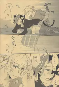 Watashi no Neko wa Nyaa to wa Nakanai.