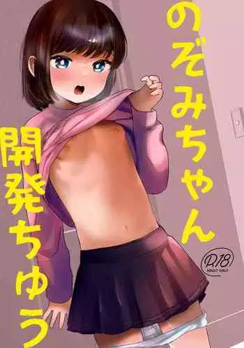 Nozomi-chan kaihatsu chiyuu