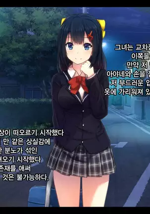 이웃집 J〇 레이프 / Gokinjo JO rape